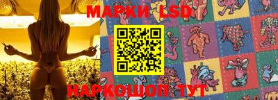 спиды Будённовск
