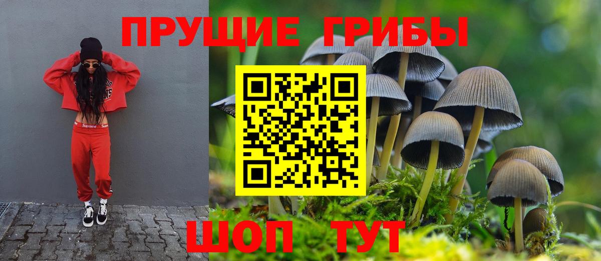 Галлюциногенные грибы Psilocybe  Вход с VPN  Магадан  Галлюциногенные грибы Cubensis 